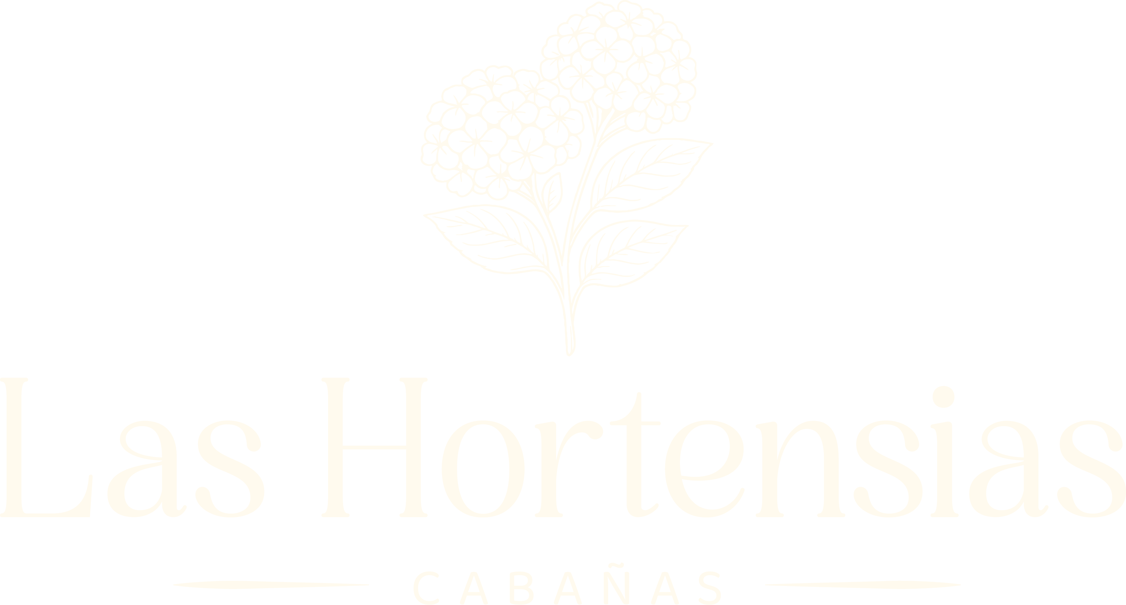 Cabañas Las Hortensias